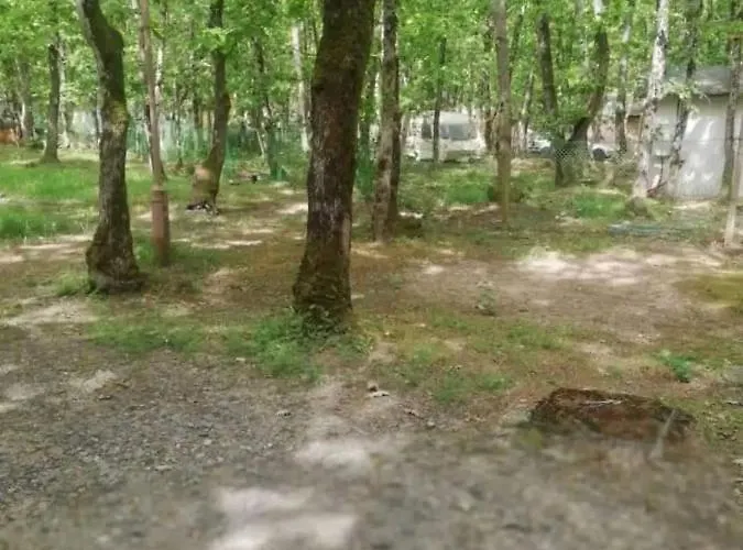 Бунгала Елит 95 Kiten (Burgas)